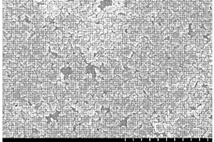超低摩擦的纳米γ-Fe2O3/SiO2磁性复合材料及其制备方法