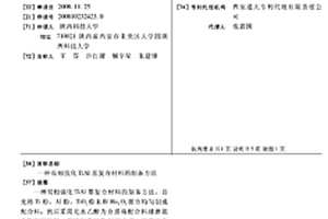 双相强化TIAL基复合材料的制备方法
