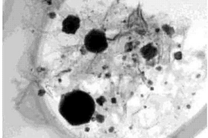 氮掺杂石墨烯负载Cu-Cu2O纳米复合材料的制备方法