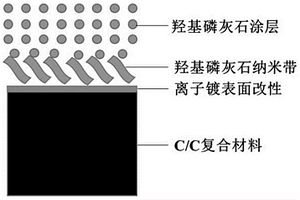 C/C复合材料表面的羟基磷灰石纳米带与羟基磷灰石涂层及一步共生长制备方法