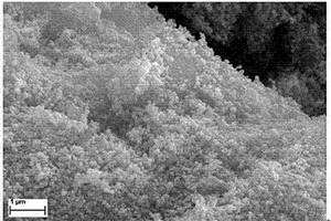 Co<sub>2</sub>MnO<sub>4</sub>/RGO复合材料及其制备方法和应用