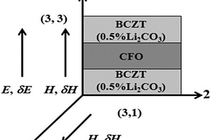 Ba0.9Ca0.1Ti0.9Zr0.1O3/CoFe2O4层状磁电复合材料及其制备方法