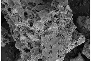 碳氮掺杂二氧化钛与生物质碳复合材料的制备方法及应用