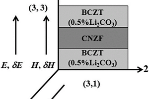 Ba0.9Ca0.1Ti0.9Zr0.1O3/Co0.8Ni0.1Zn0.1Fe2O4层状磁电复合材料及其制备方法