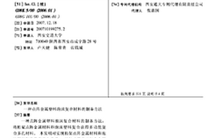 点阵金属塑料泡沫复合材料的制备方法