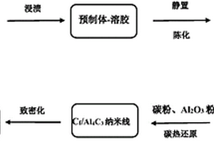 采用溶胶-凝胶+碳热还原技术原位合成手链状Al4C3纳米线的制备方法