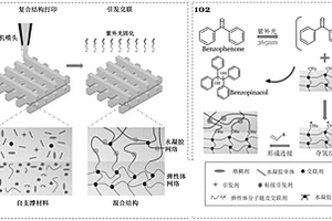 水凝胶-弹性体复合3D打印的方法