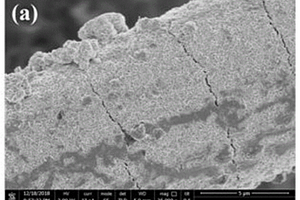 CNFs负载MoS<sub>2</sub>新型镁-锂双盐电池正极材料及其构筑方法