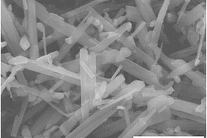纳米硫/钨氮共掺杂二氧化钛复合正极材料的制备方法