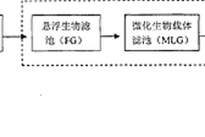 处理焦化废水的工艺