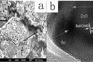 蜂窝状Au-ZnO异质结可见光催化剂的制备方法