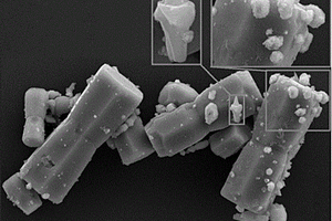 竹节状氧化锌/碳酸银复合结构的制备方法