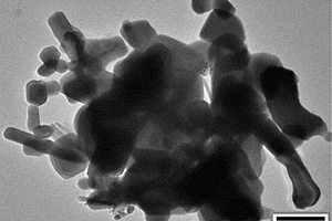 氧化锌@氮化碳量子点复合结构可见光催化剂的制备方法