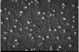 能光降解染料微流控制备载铜纳米二氧化钛壳聚糖复合微球的方法