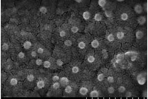 能光降解染料微流体制备载银纳米二氧化钛PVP纤维的方法