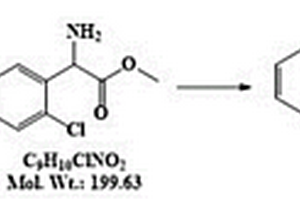 S-（+）-邻氯苯甘氨酸甲酯酒石酸盐的制备方法