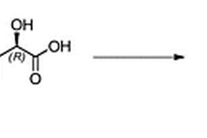 连续流反应器制备(S)-2-氨基-5-甲氧基萘扁桃酸盐的方法