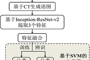 一种基于多特征融合迁移学习的鸟类个体识别方法