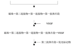 血管内皮生长因子检测试剂盒及其使用方法和应用