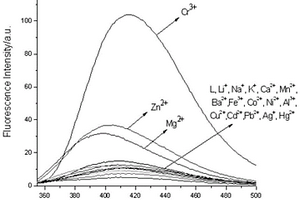 香豆素-3-羧酸作为荧光探针的应用