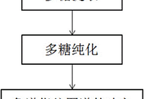 鉴别三种药用白及的色谱指纹图谱方法