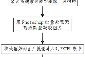 快速处理聚丙烯酰胺凝胶电泳图片的方法