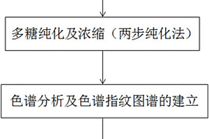 鉴别三种药用石斛的色谱指纹图谱方法