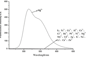 荧光素衍生物及其制备方法和应用