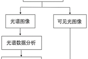 基于高光谱的文件字迹伪造的检测方法