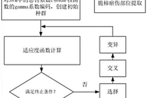 基于高光谱成像对柿子的轻微瘀伤检测方法与装置