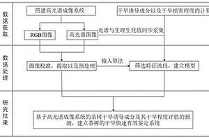 基于高光谱成像系统的茶树干旱诱导成分及干旱程度评估的预测方法和系统
