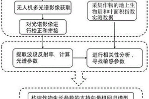 基于无人机多光谱遥感影像的作物生长参数测定方法及系统