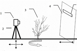 基于数码图像技术获取灌木分枝长度的方法