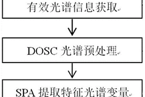 基于高光谱成像技术的猕猴桃货架期快速判别方法