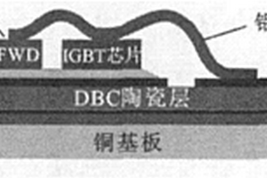 栅双极型晶体管(IGBT)模块的故障诊断方法