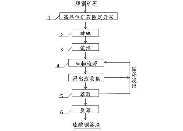 强化提取高品位辉铜矿中铜的方法