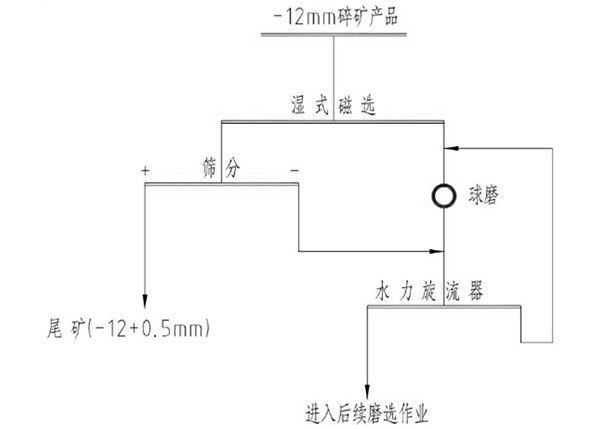 含铜磁铁矿石的湿式预选工艺