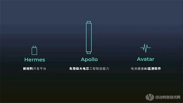 锂金属电池