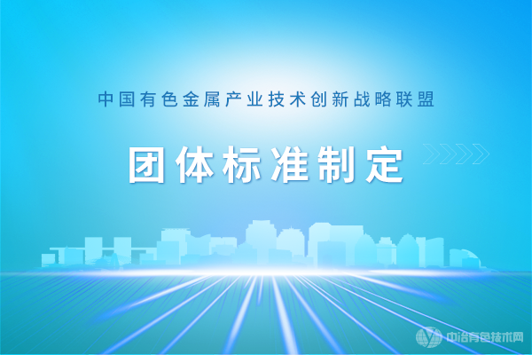 团体标准制定