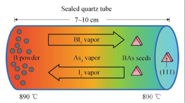 CVT法生长BAs晶体原理图