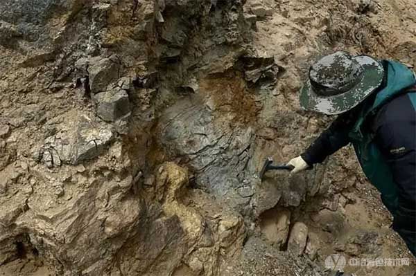青海省柴达木南北缘大型超大型金矿深部资源预测研究项目组正在开展野外勘测