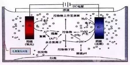 电解法