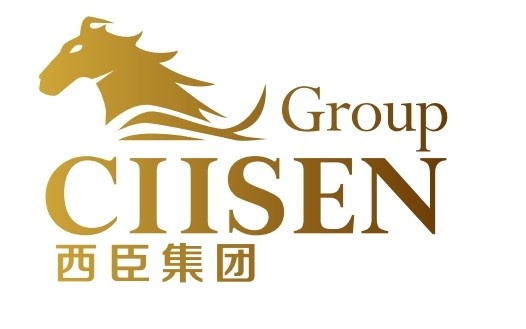 西臣供应链（江苏）有限公司