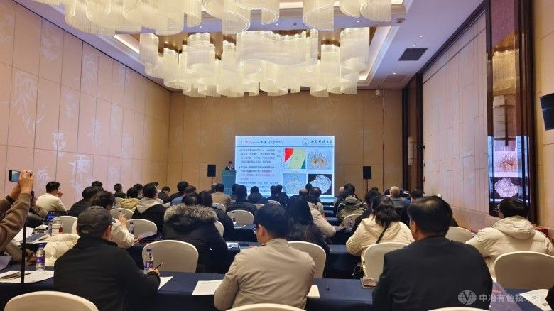 2024中国石英资源开发利用大会 现场照片