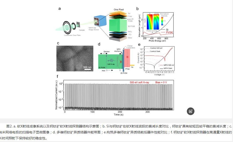 中国科大突破钙钛矿软X射线探测技术  实现量子效率新高