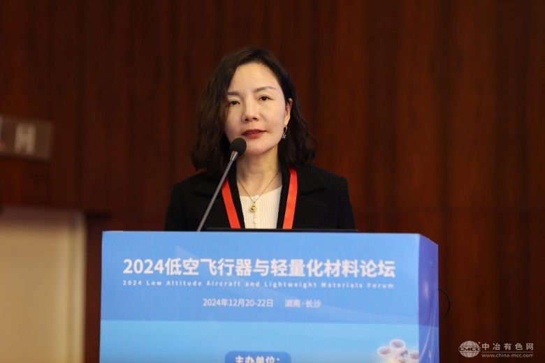 2024低空飞行器与轻量化材料论坛 现场照片