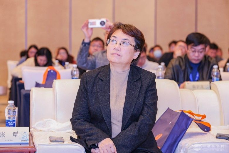 2025全国三稀矿产资源技术交流会 现场照片