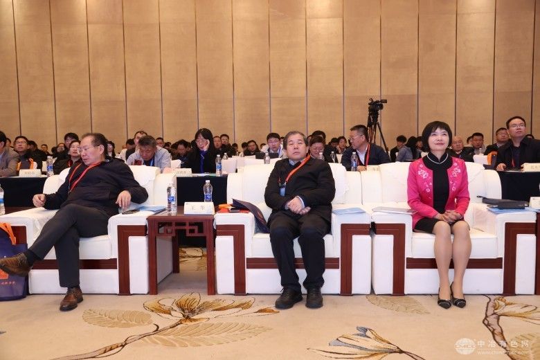 2025全国三稀矿产资源技术交流会 现场照片