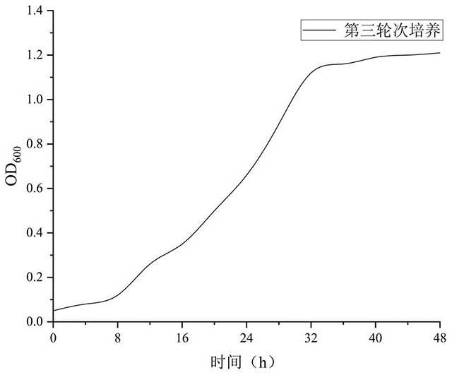 同步固碳脱氮的方法和应用