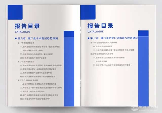 《锂产业报告2025》